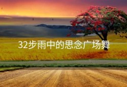32步雨中的思念广场舞