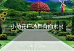 小菊花广场舞背面素材