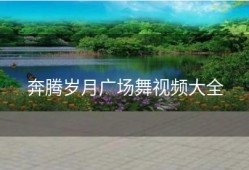 奔腾岁月广场舞视频大全