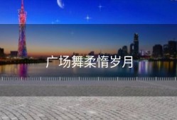 广场舞柔惰岁月