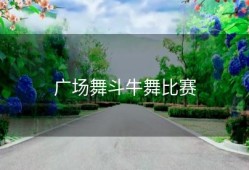 广场舞斗牛舞比赛
