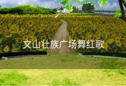 文山壮族广场舞红歌