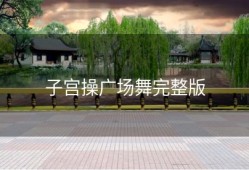 子宫操广场舞完整版