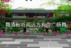 舞清秋听闻远方有你广场舞