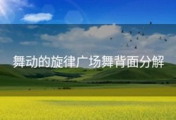 舞动的旋律广场舞背面分解