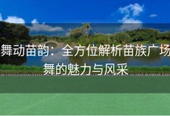 舞动苗韵：全方位解析苗族广场舞的魅力与风采