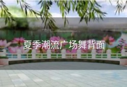 夏季潮流广场舞背面