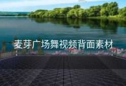 麦芽广场舞视频背面素材
