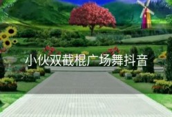 小伙双截棍广场舞抖音