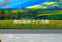 舞蹈服裤子广场舞