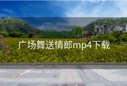 广场舞送情郎mp4下载