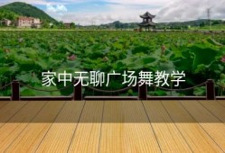 家中无聊广场舞教学