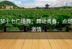 梦十七广场舞：舞动青春，点燃激情