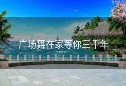 广场舞在家等你三千年