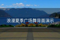 浪漫夏季广场舞背面演示