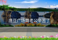 唐豆广场舞老公辛苦了