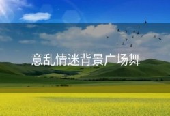 意乱情迷背景广场舞