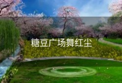 糖豆广场舞红尘