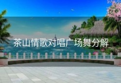 茶山情歌对唱广场舞分解