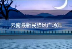 云南最新民族风广场舞