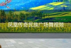 凤凰传奇民族广场舞视频