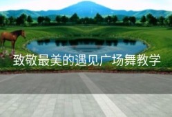 致敬最美的遇见广场舞教学