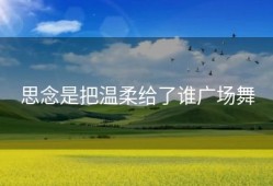 思念是把温柔给了谁广场舞