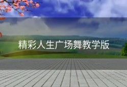精彩人生广场舞教学版