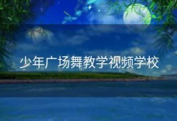 少年广场舞教学视频学校