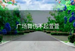 广场舞伤不起萱萱