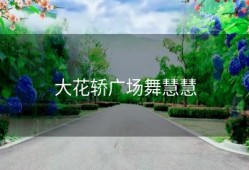 大花轿广场舞慧慧