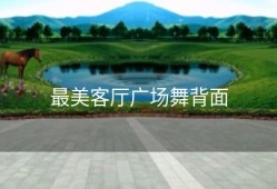 最美客厅广场舞背面