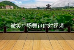 微笑广场舞包你射视频