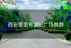 西安哪里有减肥广场舞群