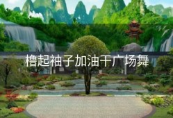 橹起袖子加油干广场舞