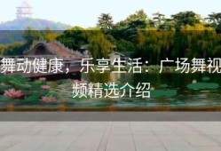 舞动健康，乐享生活：广场舞视频精选介绍