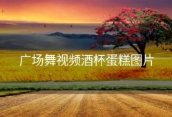 广场舞视频酒杯蛋糕图片