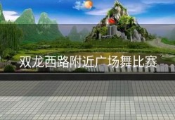 双龙西路附近广场舞比赛