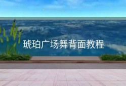 琥珀广场舞背面教程