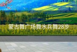 蒙古舞广场舞水兵舞28步
