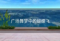 广场舞梦中的蝴蝶飞