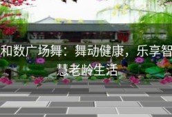 和数广场舞：舞动健康，乐享智慧老龄生活