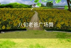 八旬老爸广场舞