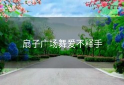 扇子广场舞爱不释手