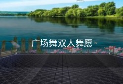 广场舞双人舞愿