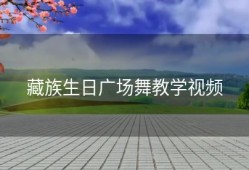 藏族生日广场舞教学视频