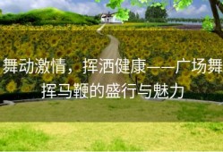 舞动激情，挥洒健康——广场舞挥马鞭的盛行与魅力