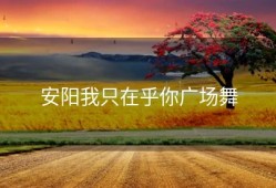 安阳我只在乎你广场舞