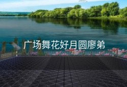 广场舞花好月圆廖弟