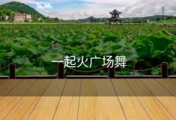 一起火广场舞